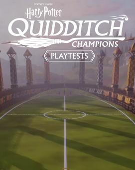 Harry Potter : Quidditch Champions