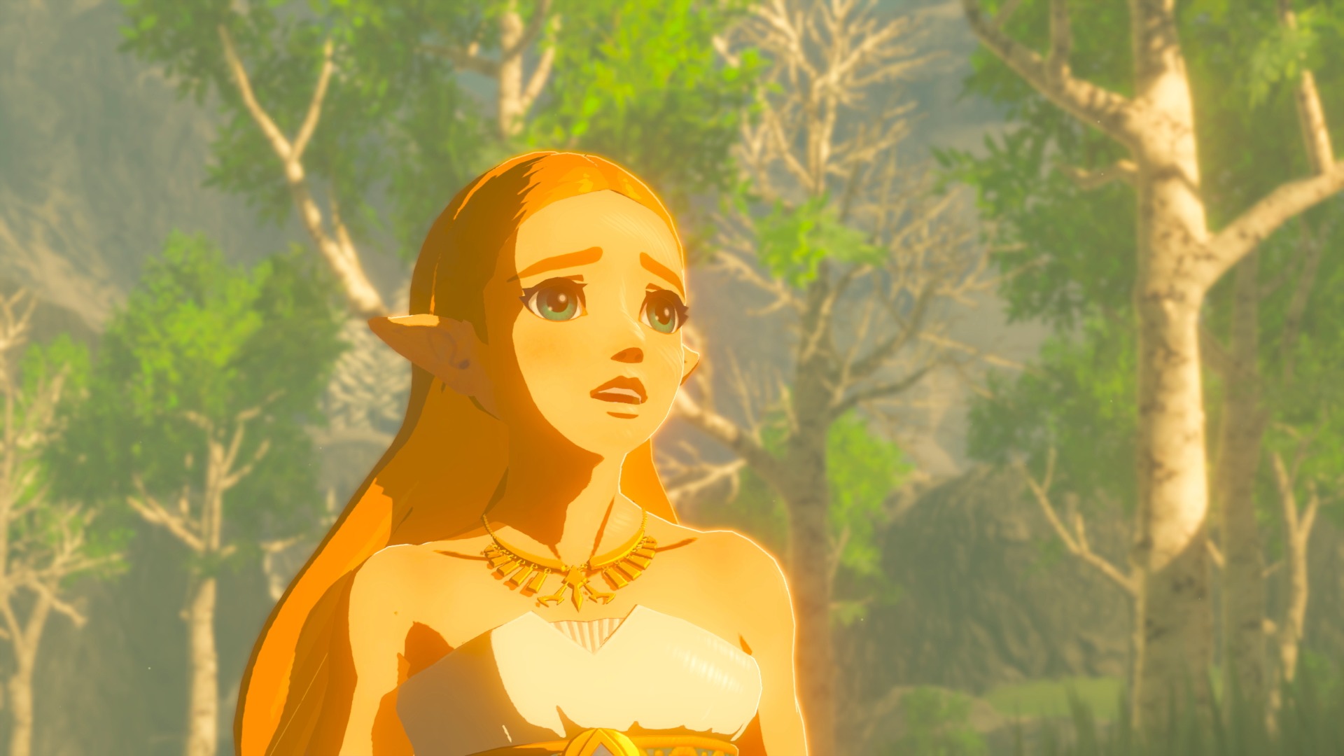The Legend of Zelda : Breath of the Wild