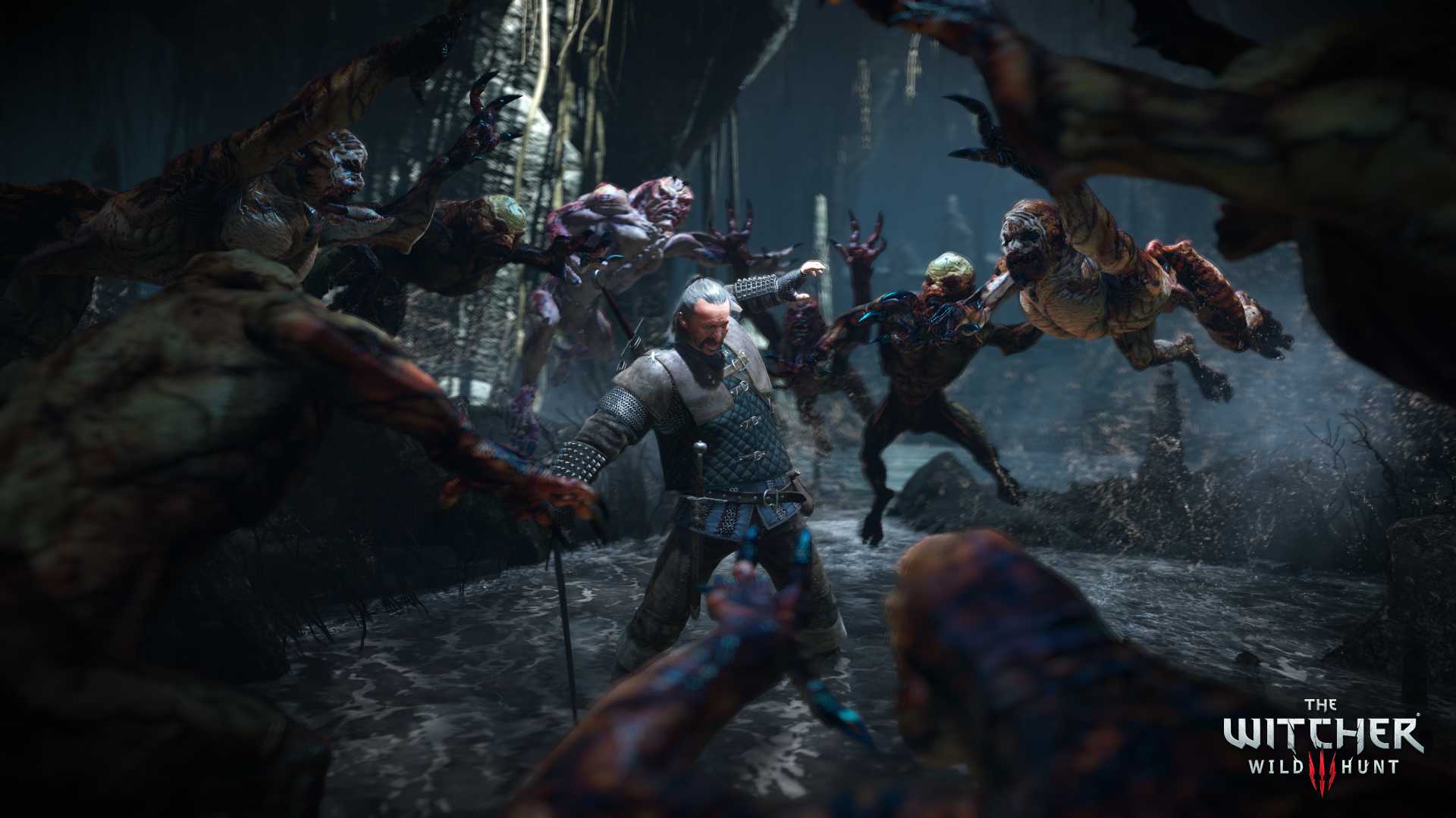 The Witcher 3 : Wild Hunt