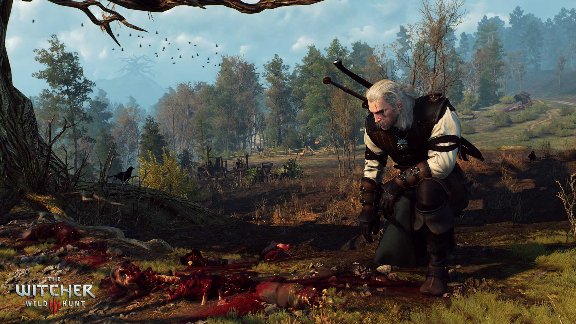 The Witcher 3 : Wild Hunt