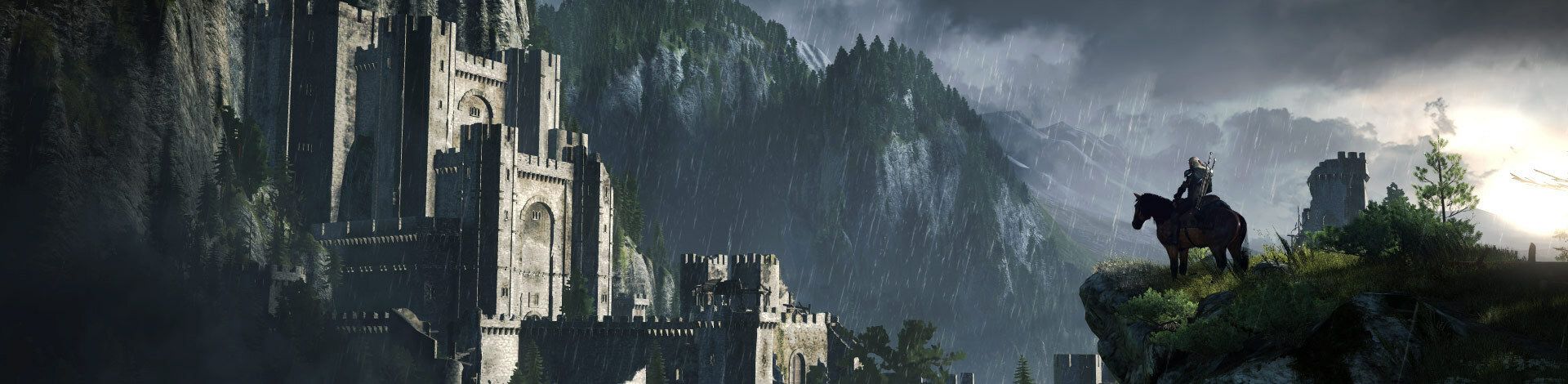 The Witcher 3 : Wild Hunt The Witcher 3 : Wild Hunt