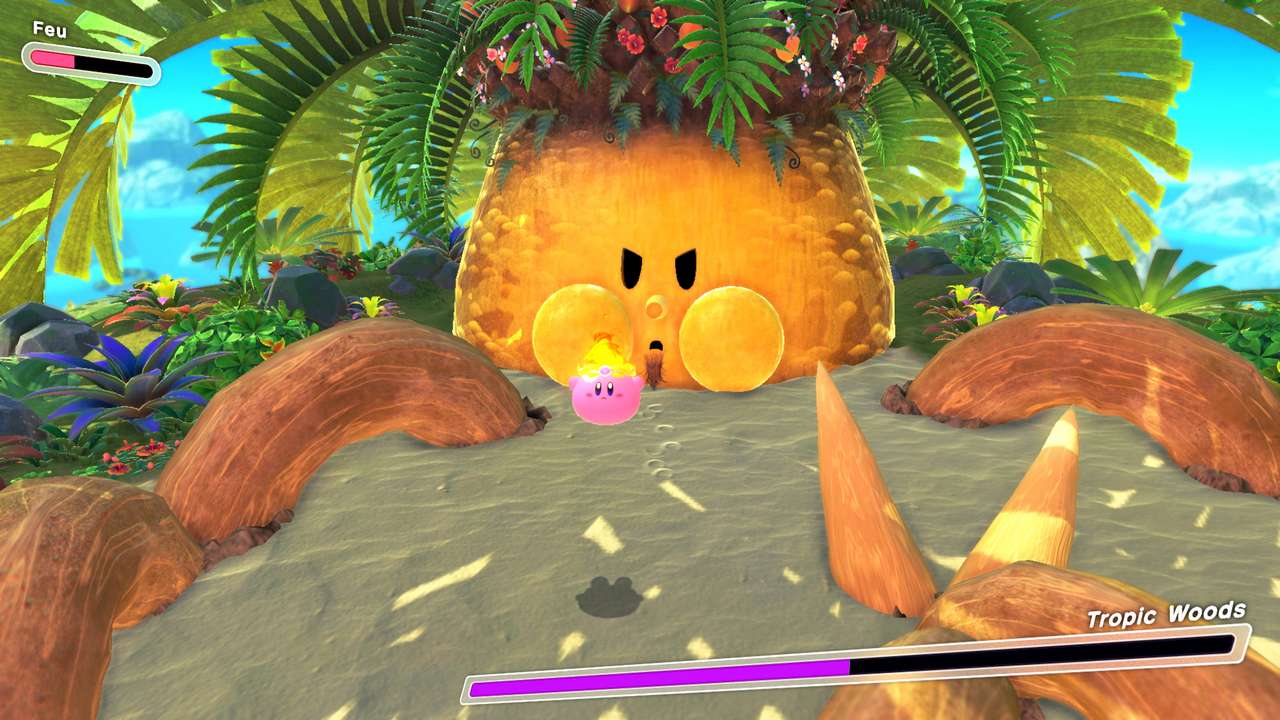 Kirby et le monde oublié